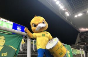 Brasil e Argentina em São Paulo poderá receber até 12.000 torcedores