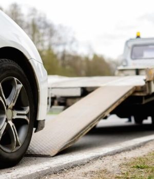 Fonte: Google Images