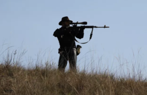 Correntina: Caçadores são presos por prática ilegal de caça silvestre