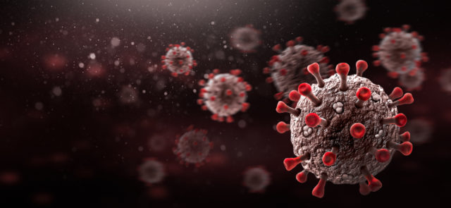 Corona Virus