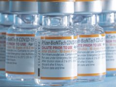 Governo Federal Discute diminuir intervalo da vacina anti covid-19 da Pfizer para crianças de 5 a 11 anos