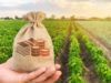 Agronegócio: Oeste da bahia tem 7 dos 100 municípios mais ricos do setor no Brasil