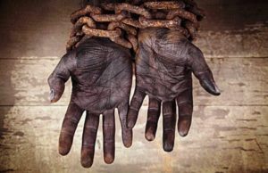 Bahia registrou 138 denúncias desde 2019 sobre trabalho escravo; 16% foram fiscalizadas