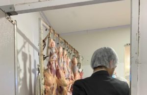 MP realiza visita técnica aos estabelecimentos de comercialização de carne animal em Santa Maria da Vitória