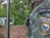 Cocos: Polícia Militar Ambiental interrompe ações de madeireira clandestina