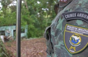 Cocos: Polícia Militar Ambiental interrompe ações de madeireira clandestina
